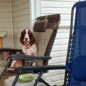 Meet your Posher, Rich